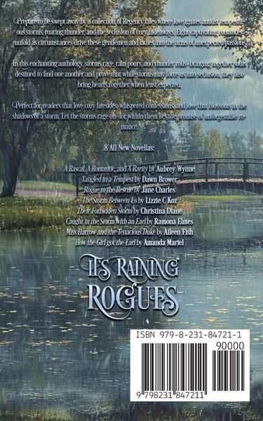 Produktbild: It's Raining Rogues