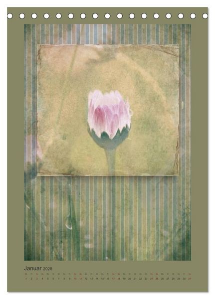Produktbild: Vintage Style (Tischkalender 2026 DIN A5 hoch), CALVENDO Monatskalender