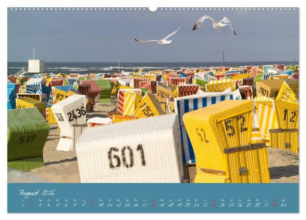 Produktbild: Strandk&ouml;rbe &ndash; bunte Vielfalt an der Nordsee (Wandkalender 2026 DIN A2 quer), CALVENDO Monatskalender