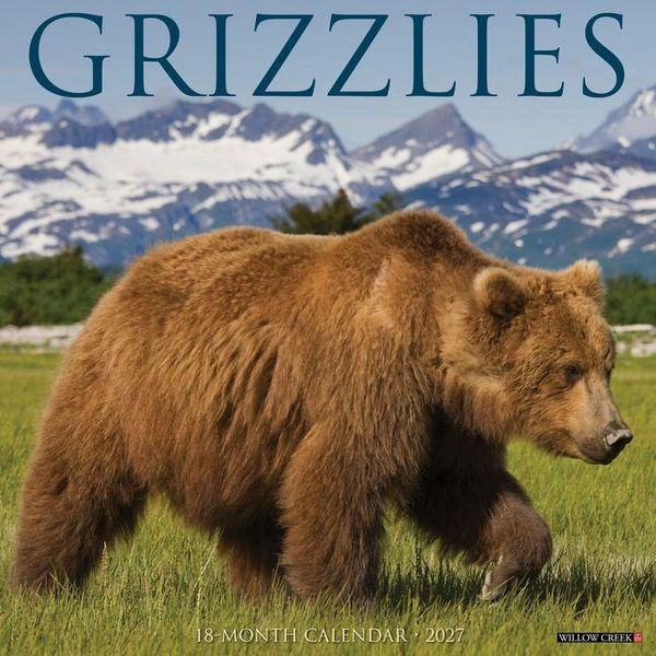 Produktbild: Grizzlies 2027 12 X 12 Wall Calendar