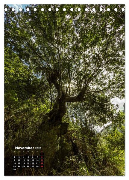 Produktbild: Levadas - Wasserwege auf Madeira (Tischkalender 2026 DIN A5 hoch), CALVENDO Monatskalender