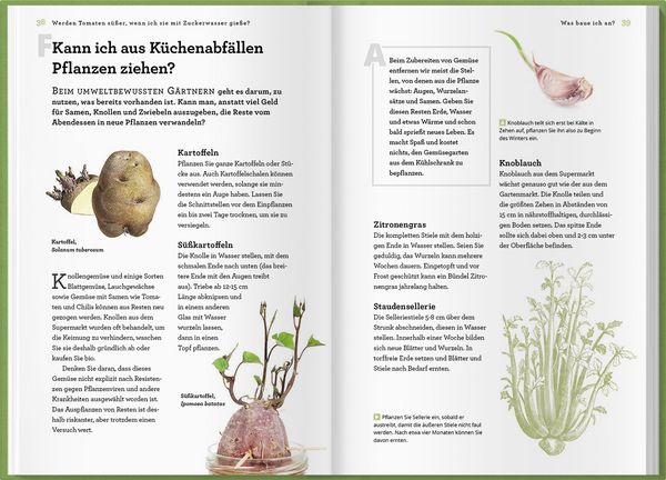 Produktbild: Werden Tomaten s&uuml;&szlig;er, wenn ich sie mit Zuckerwasser gie&szlig;e und kann ich mein Unkraut einfach aufessen?