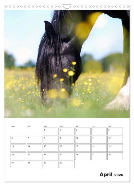 Produktbild: Shire Horses The Gentle Giants (Wall Calendar 2026 DIN A3 portrait), CALVENDO 12 Month Wall Calendar