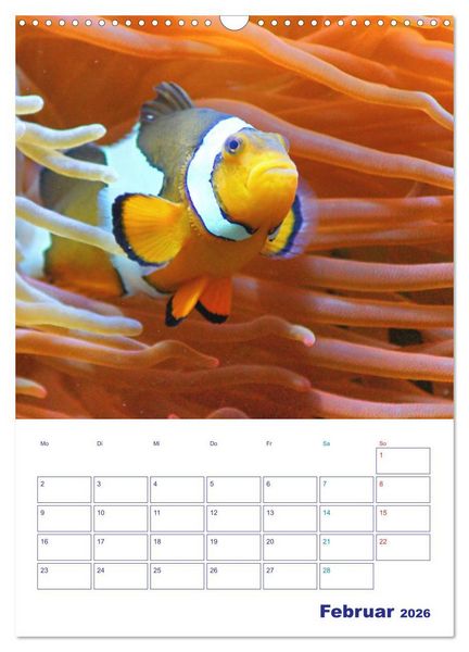 Produktbild: Bunte Meereswelten (Wandkalender 2026 DIN A3 hoch), CALVENDO Monatskalender