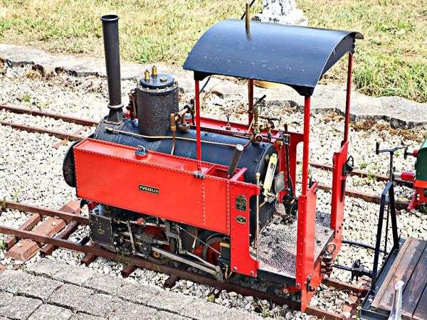 Produktbild: CALVENDO Puzzle Puszelia | 1000 Teile Lege-Gr&ouml;&szlig;e 64x48cm Foto-Puzzle f&uuml;r gl&uuml;ckliche Stunden