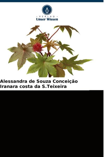 Beliebte Verwendungen und industrielle Anwendungen von Rizinusöl, Taschenbuch von Alessandra de Souza Conceição , Iranara costa da S. Teixeira, Verlag