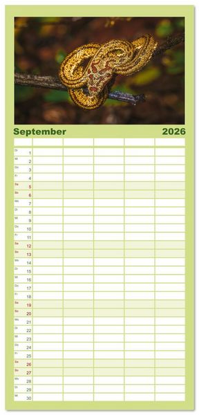 Produktbild: Familienplaner 2026 - Faszination Schlangen mit 5 Spalten (Wandkalender, 21 x 45 cm) CALVENDO