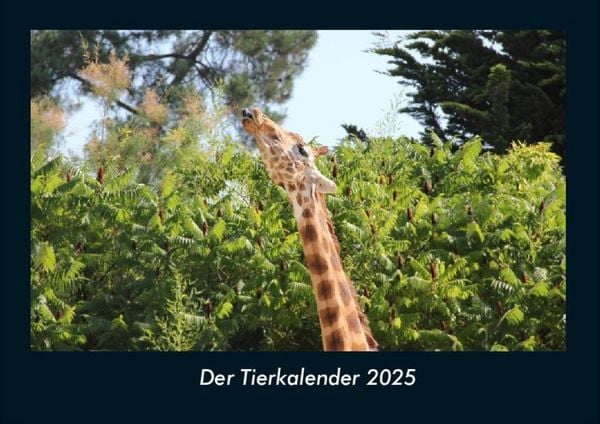Produktbild: Der Tierkalender 2025 Fotokalender DIN A4