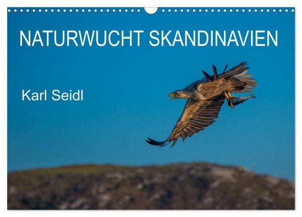 Produktbild: Naturwucht Skandinavien (Wandkalender 2026 DIN A3 quer), CALVENDO Monatskalender