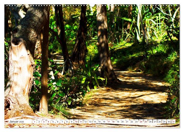 Produktbild: K&uuml;stenparadies - Noosa Nationalpark Australien (Wandkalender 2026 DIN A2 quer), CALVENDO Monatskalender