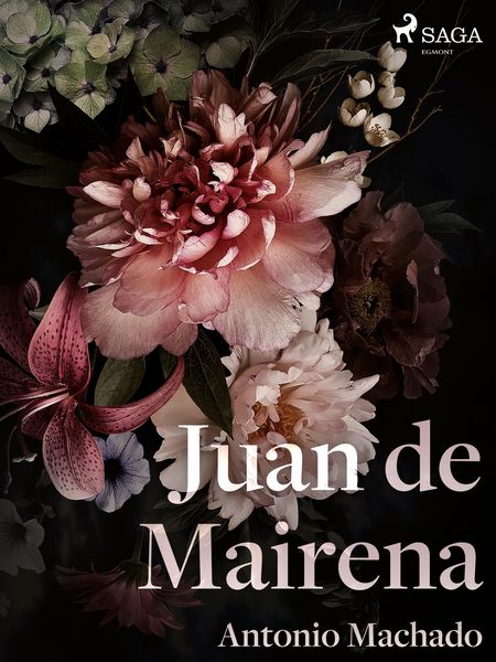 Produktbild: Juan de Mairena