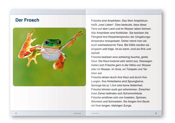 Produktbild: Ich kenne den Frosch - Lebenszyklus