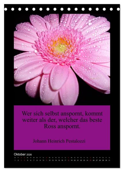 Produktbild: Lebensweisheiten mit Blumigen Gr&uuml;&szlig;en (Tischkalender 2026 DIN A5 hoch), CALVENDO Monatskalender