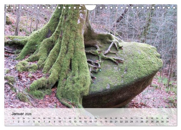 Produktbild: Bretagne - Wildnis Finist&egrave;re (Wandkalender 2026 DIN A4 quer), CALVENDO Monatskalender