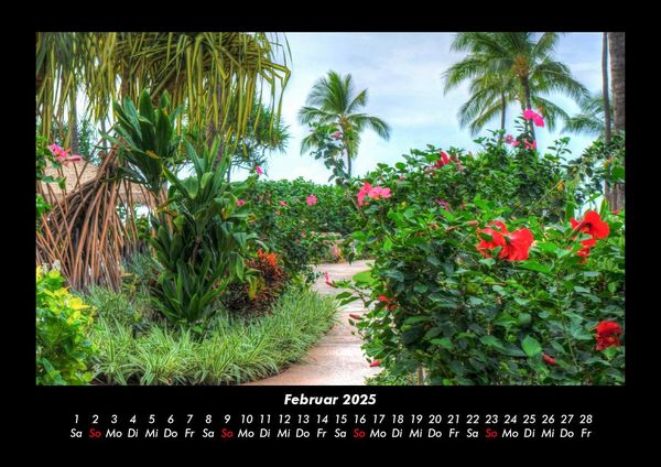 Produktbild: Pflanzen und Bl&uuml;ten 2025 Fotokalender DIN A3