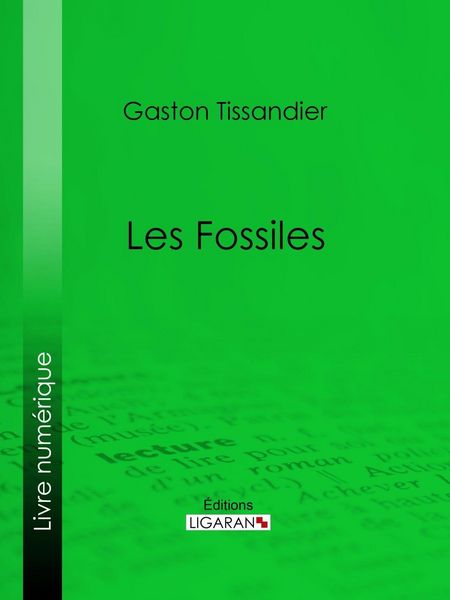 Produktbild: Les Fossiles