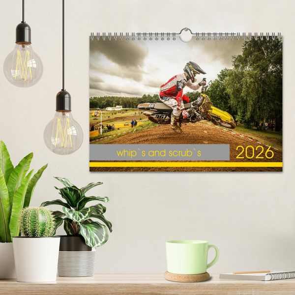 Produktbild: whip`s and scrub`s (Wandkalender 2026 DIN A4 quer), CALVENDO Monatskalender