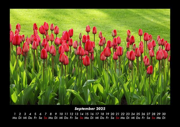 Produktbild: Blumenkalender 2025 Fotokalender DIN A3