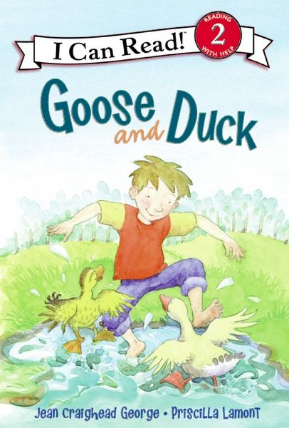 Produktbild: Goose and Duck