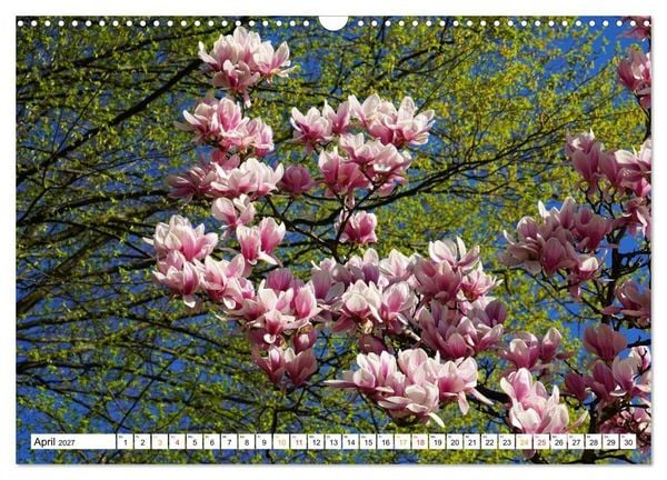 Produktbild: 12 Monate Natur (Wandkalender 2027 DIN A3 quer), CALVENDO Monatskalender