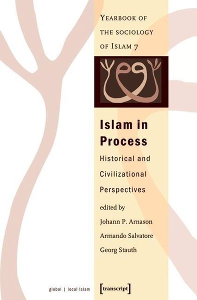 Produktbild: Islam in Process