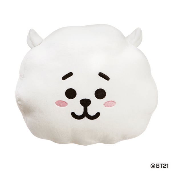 Produktbild: BT21 - RJ Kissen