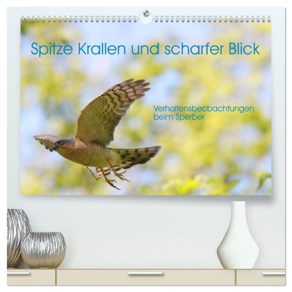 Produktbild: Spitze Krallen und scharfer Blick - Verhalten Sperber (hochwertiger Premium Wandkalender 2026 DIN A2 quer), Kunstdruck in Hochglanz