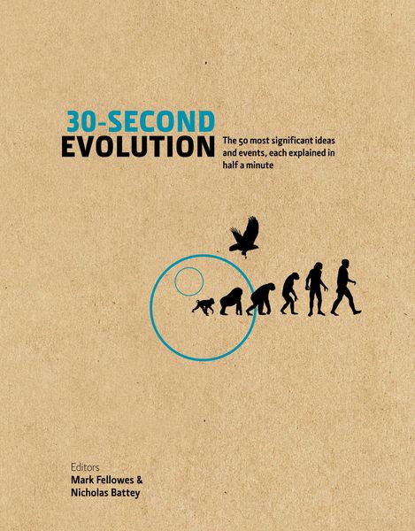 Produktbild: 30-Second Evolution