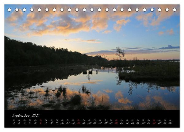 Produktbild: Im Goldenstedter Moor (Tischkalender 2026 DIN A5 quer), CALVENDO Monatskalender