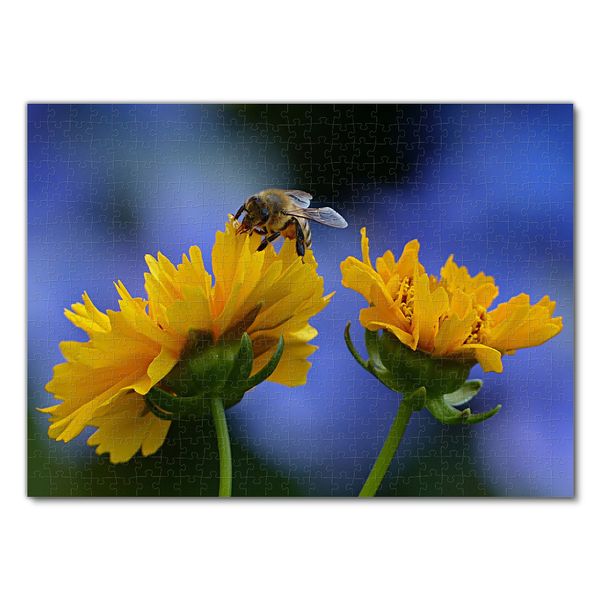 Produktbild: Lais Puzzle Biene und Sonnenblume 500 Teile