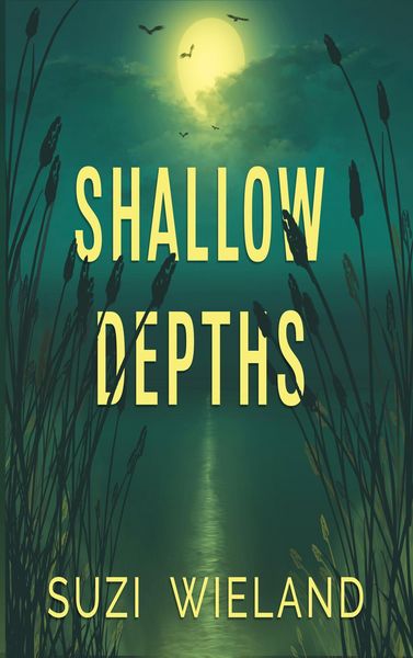 Produktbild: Shallow Depths