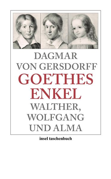 Produktbild: Goethes Enkel