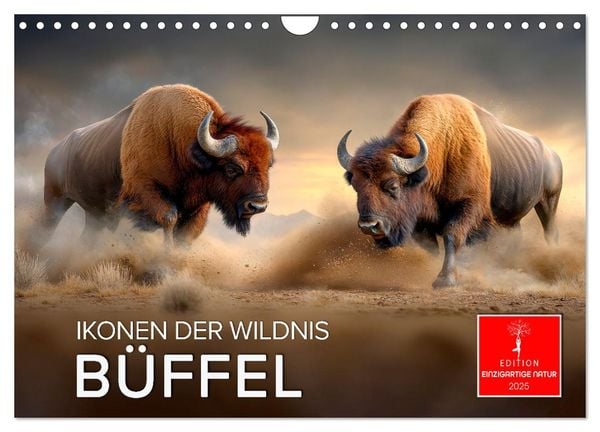 Büffel - Ikonen der Wildnis (Wandkalender 2025 DIN A4 quer), CALVENDO Monatskalender