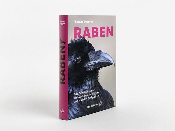 Produktbild: Raben