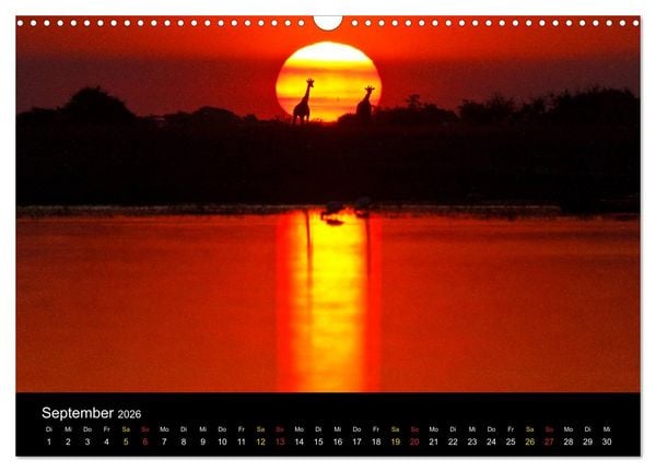 Produktbild: What a wonderful world (Wandkalender 2026 DIN A3 quer), CALVENDO Monatskalender