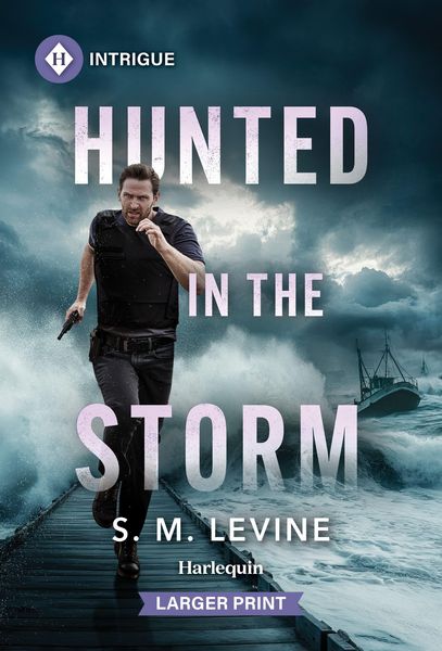 Produktbild: Hunted in the Storm