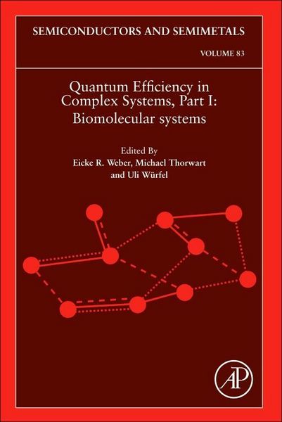 Produktbild: Quantum Efficiency in Complex Systems, Part I