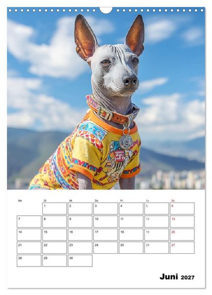 Produktbild: Xolos. Seelenhunde aus Mexiko (Wandkalender 2027 DIN A3 hoch), CALVENDO Monatskalender
