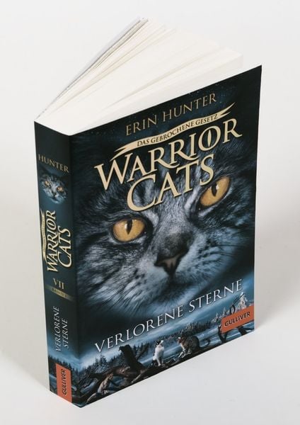 Produktbild: Warrior Cats - Das gebrochene Gesetz. Verlorene Sterne