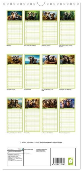Produktbild: Familienplaner 2027 - Lurcher Portraits - Zwei Welpen entdecken die Welt mit 5 Spalten (Wandkalender, 21 x 45 cm) CALVENDO