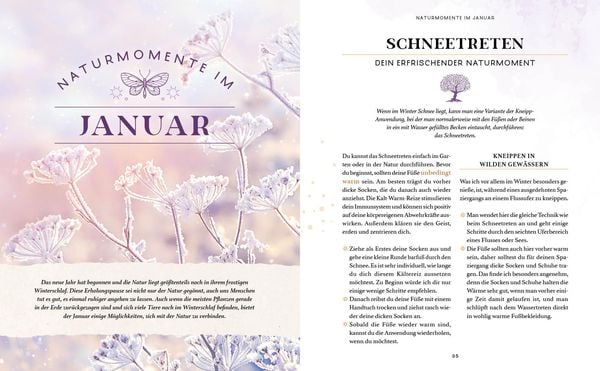 Produktbild: Zaubernuss und Waldmagie – Naturmomente für deine Seele