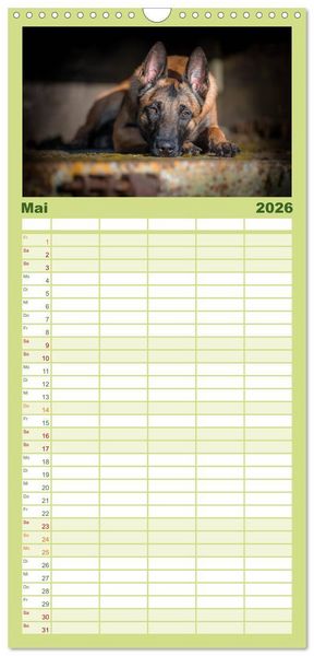 Produktbild: Familienplaner 2026 - Belgischer Sch&auml;ferhund - Der Malinois mit 5 Spalten (Wandkalender, 21 x 45 cm) CALVENDO