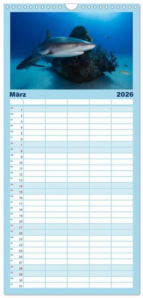Produktbild: Familienplaner 2026 - Haie - K&ouml;nige der Meere. mit 5 Spalten (Wandkalender, 21 x 45 cm) CALVENDO