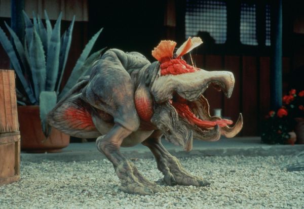 Produktbild: Tremors - 7 Movie Collection [7 DVDs]