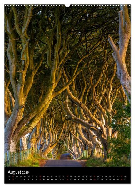 Produktbild: Irland entdecken (Wandkalender 2026 DIN A2 hoch), CALVENDO Monatskalender