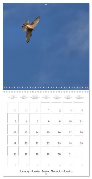 Produktbild: Deux &eacute;t&eacute;s en Vall&eacute;e d'Ossau (Calendrier mural carr&eacute; 2026 30x30 cm) Calendrier double avec une page pour vos prises de notes