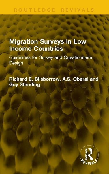 Produktbild: Migration Surveys in Low Income Countries