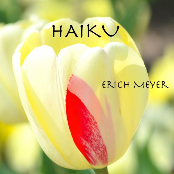 Produktbild: Haiku
