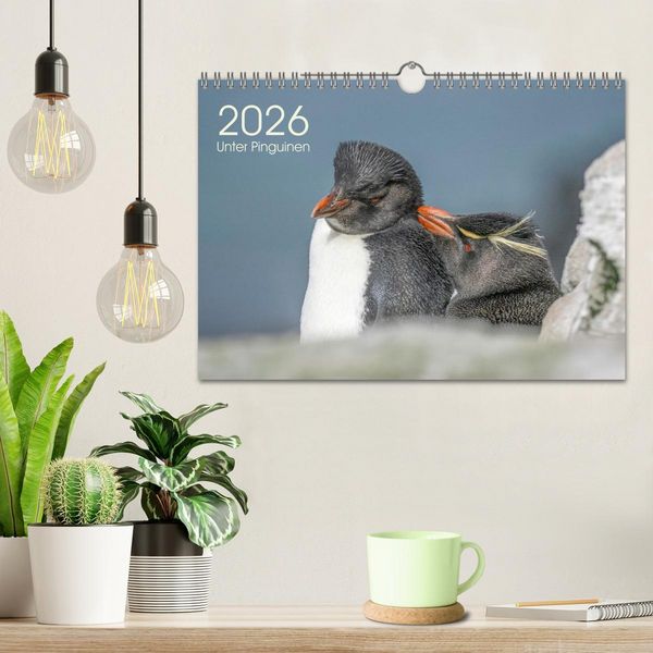 Produktbild: Unter Pinguinen (Wandkalender 2026 DIN A4 quer), CALVENDO Monatskalender