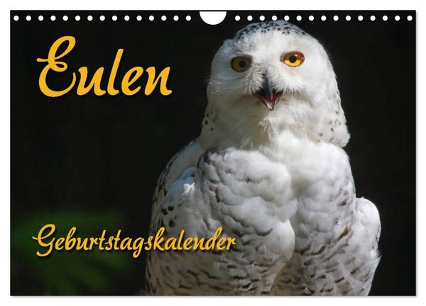 Produktbild: Eulen (Wandkalender 2026 DIN A4 quer), CALVENDO Monatskalender